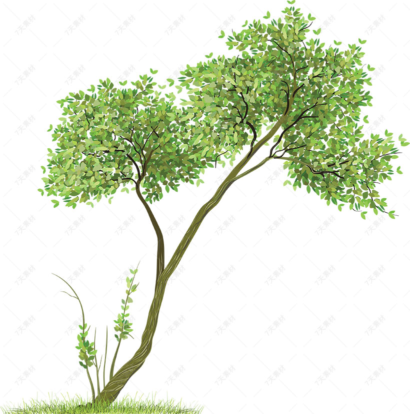 大树png抠图素材