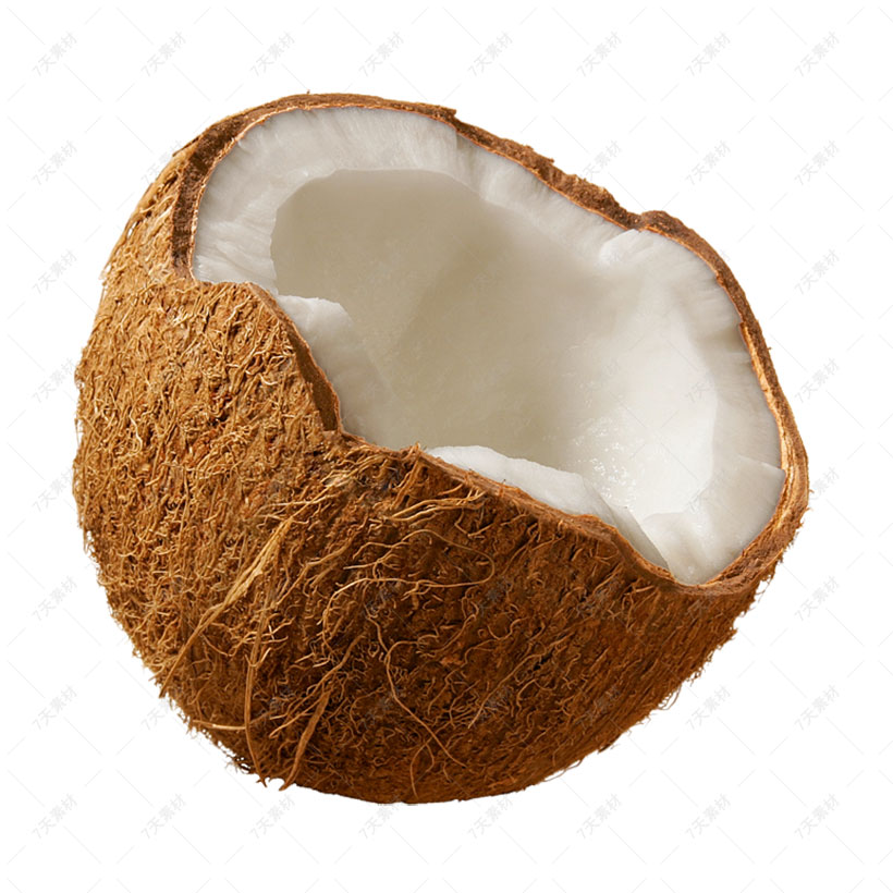 带壳的椰子png图片