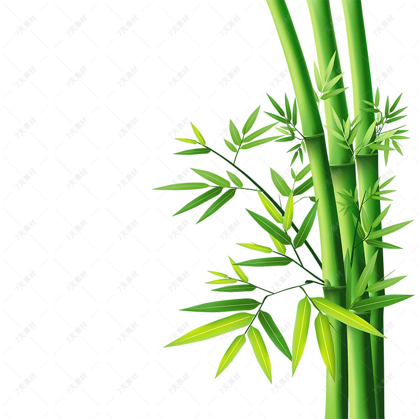 翠绿色的竹子免抠图片